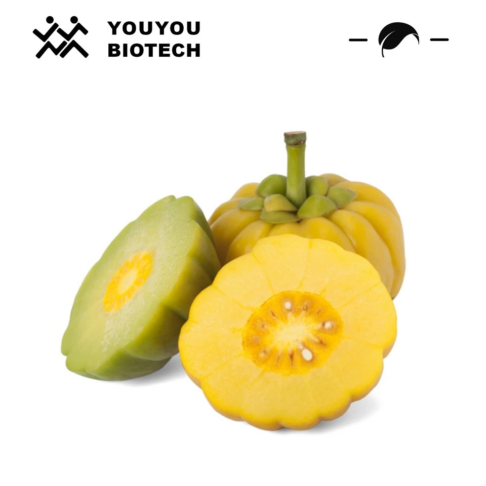 Garcinia Cambogia Extract